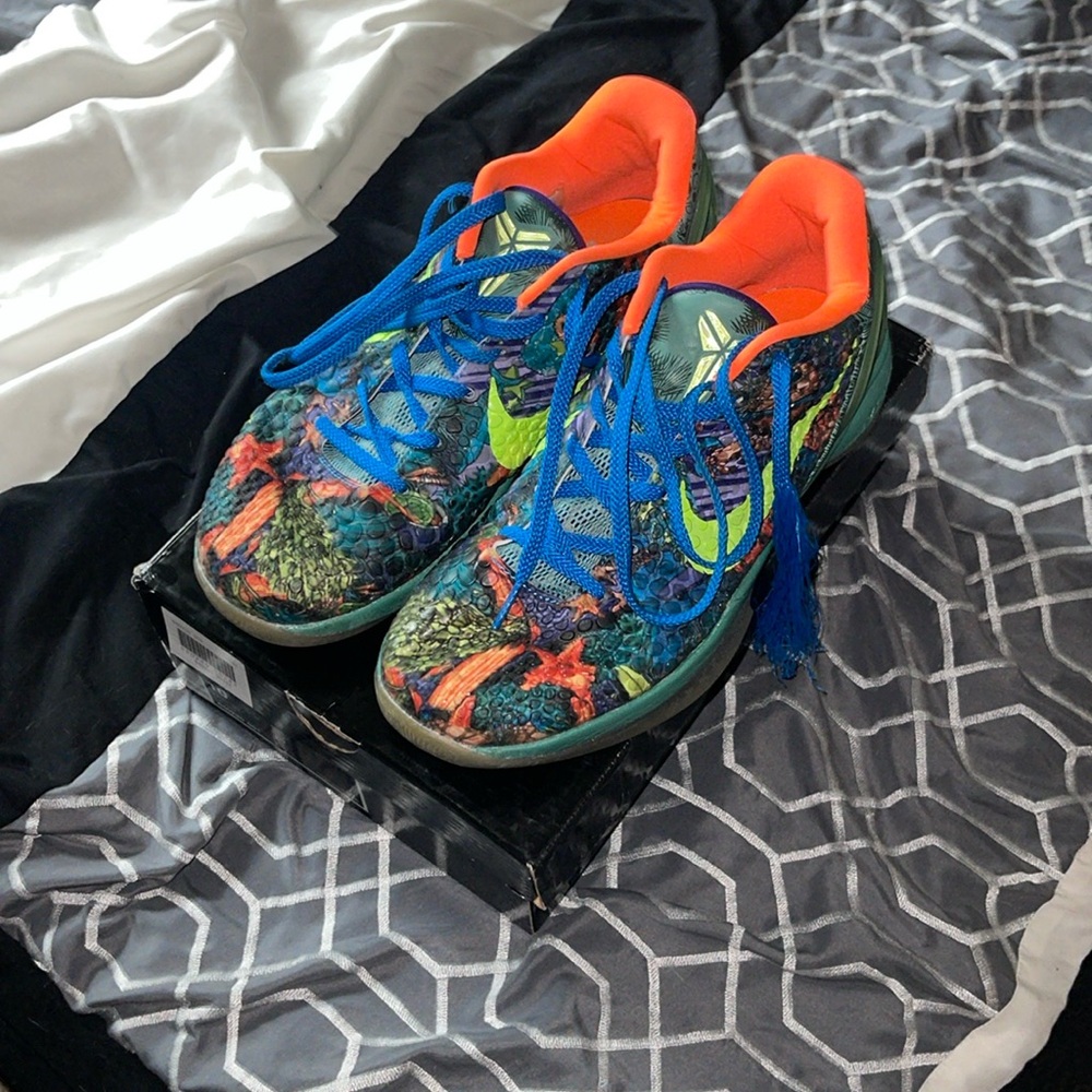 Kobe 6 prelude